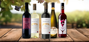 Sleva 15 % na kategorii vín na našem e-shopu